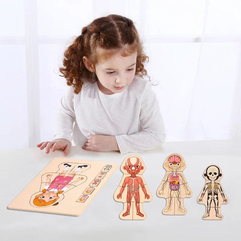 ROMPECABEZAS DEL CUERPO HUMANO